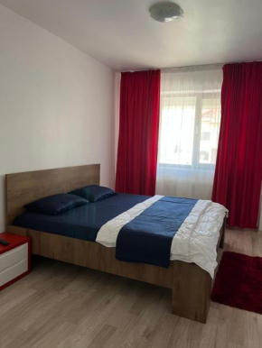 Apartament Palas